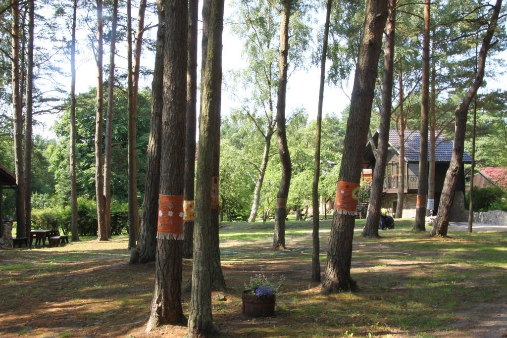 Verbelnieki Перконе Экстерьер фото